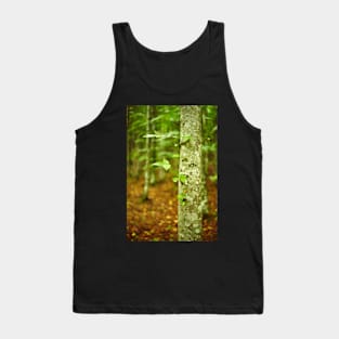 Hornbeam forest on summer Tank Top